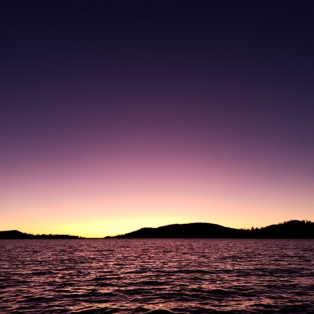 Meet your Posher, Holly